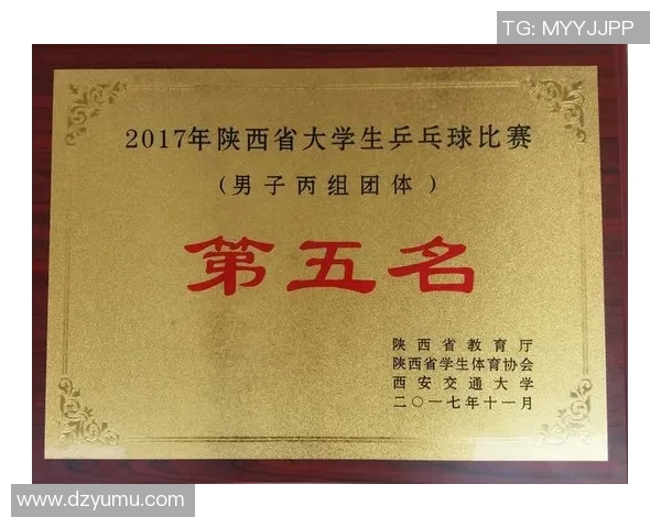 武汉乒乓球队耐力对比深度分析与训练策略探讨 武汉乒乓球队耐力对比深度分析与训练策略探讨