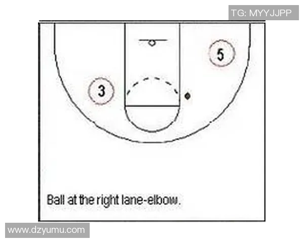 深入分析北京排球队区域防守战术的特点与应用策略