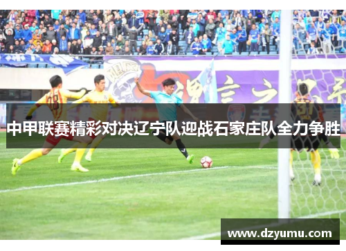 中甲联赛精彩对决辽宁队迎战石家庄队全力争胜